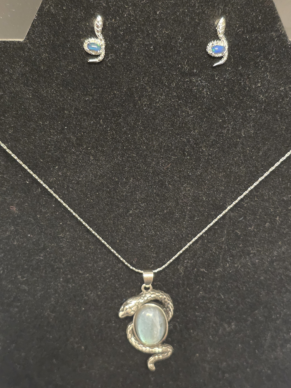 Silver Toned Snake Pendant With Matching Earrings